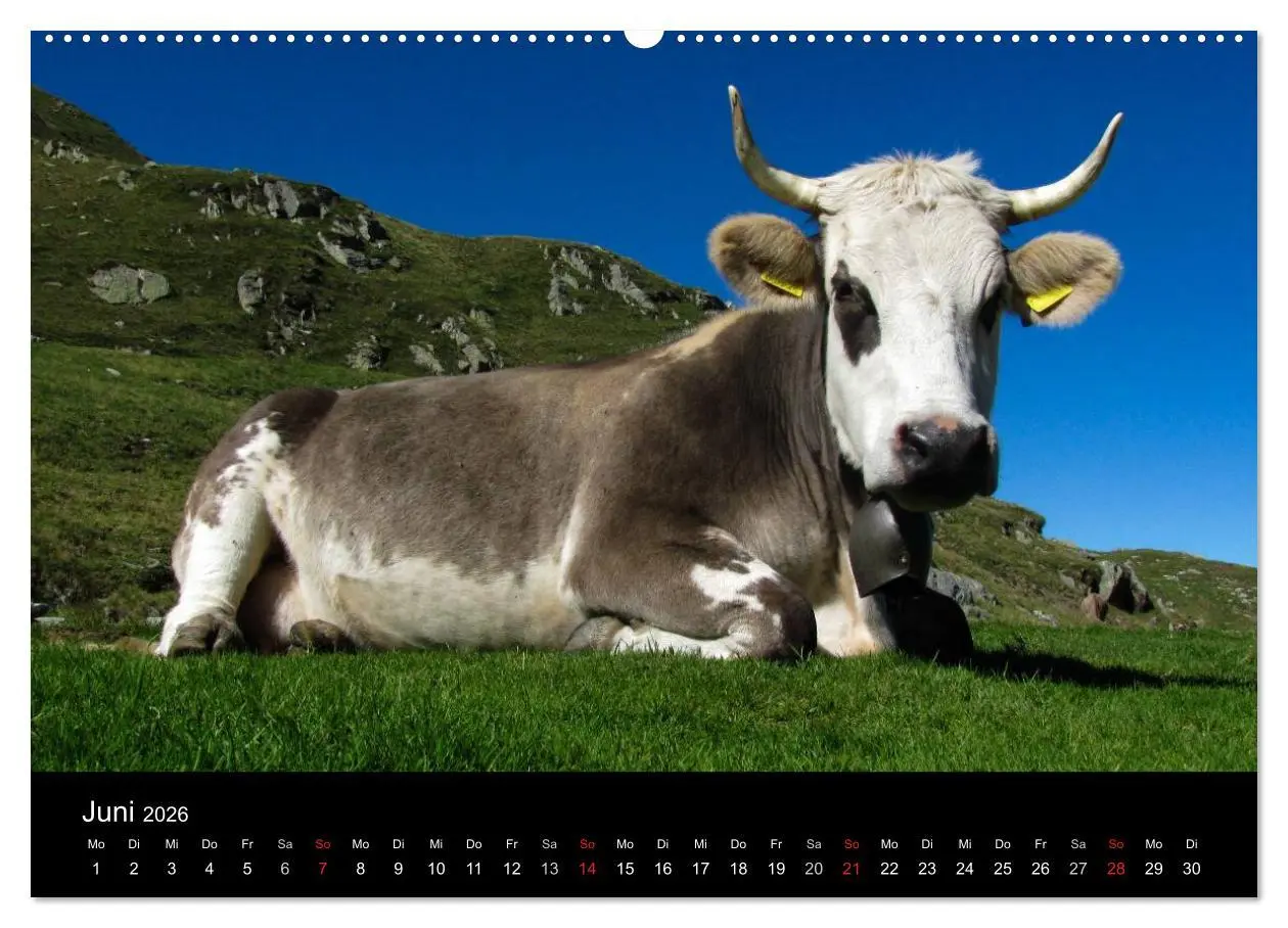 Bild: 9783516180619 | Grande Traversata delle Alpi - Wandern auf der GTA (Wandkalender...