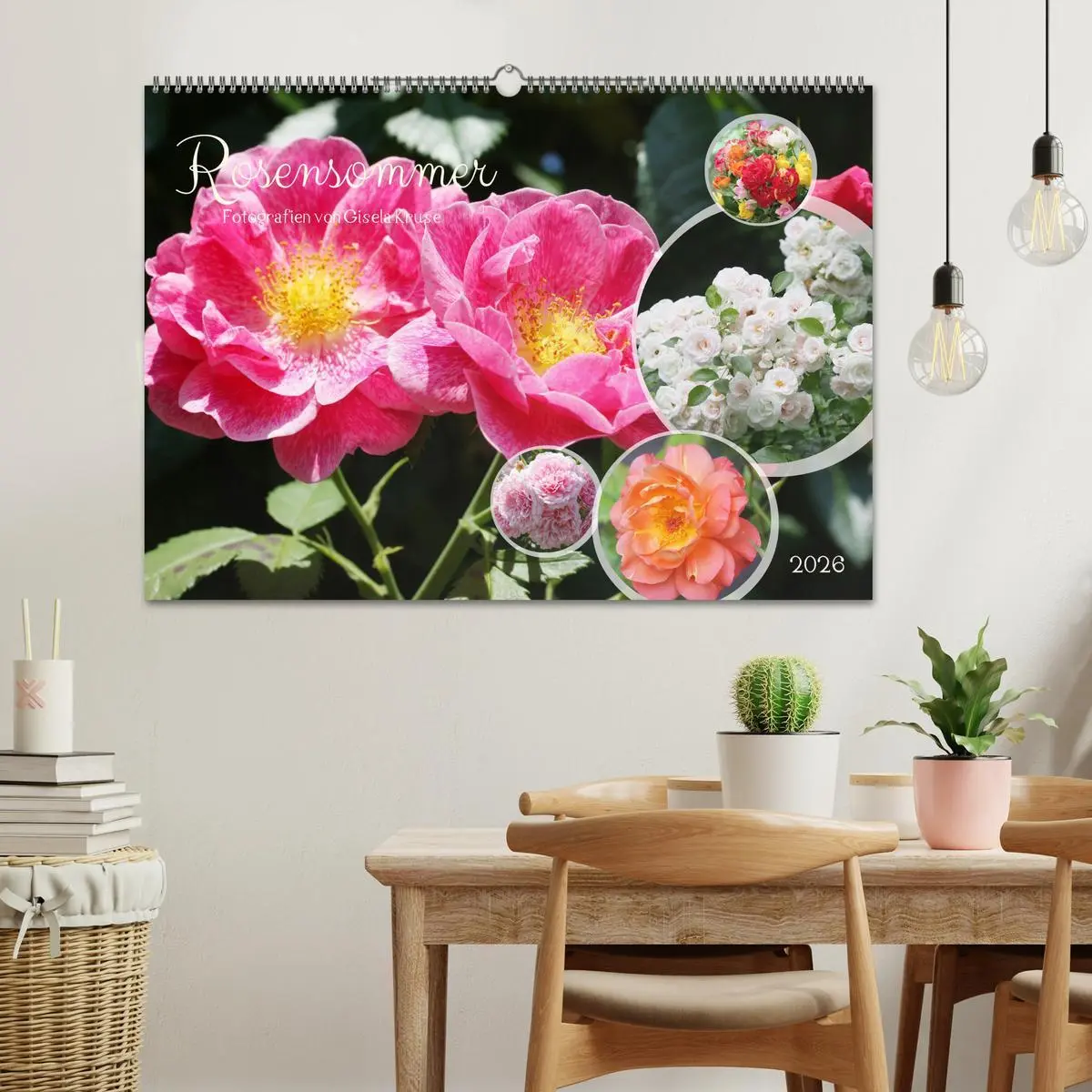Bild: 9783457380819 | Rosensommer (Wandkalender 2026 DIN A2 quer), CALVENDO Monatskalender
