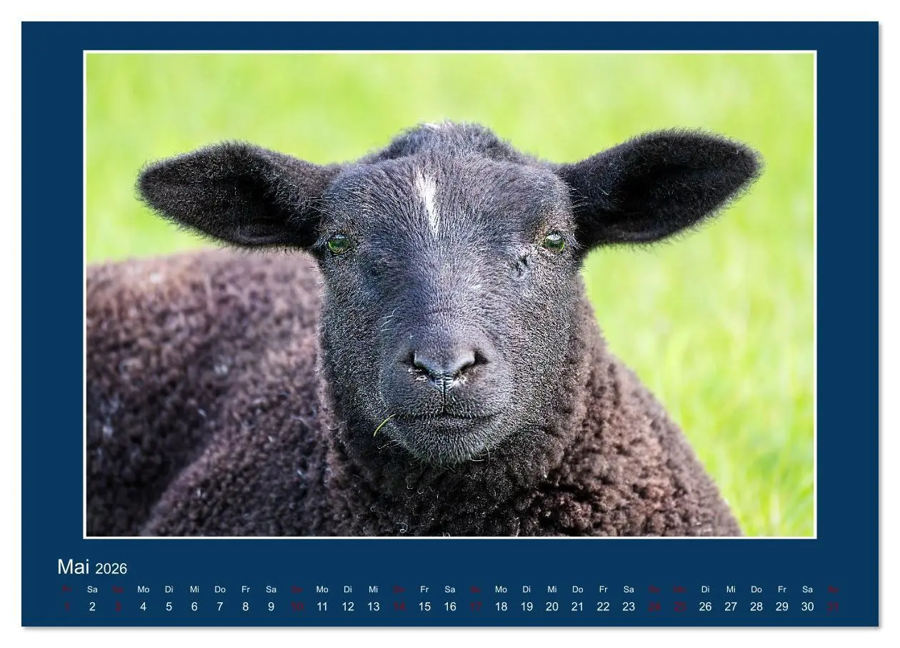 Bild: 9783516610819 | Dangast. Impressionen eines besonderen Ortes. (Wandkalender 2026...