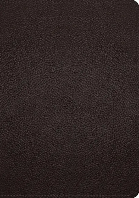 Cover: 9781433570919 | ESV Single Column Journaling Bible, Large Print | Esv Bibles | Buch