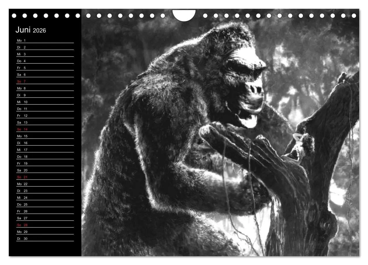 Bild: 9783516080919 | Kultfilme - schwarz-weiße Klassiker (Wandkalender 2026 DIN A4...