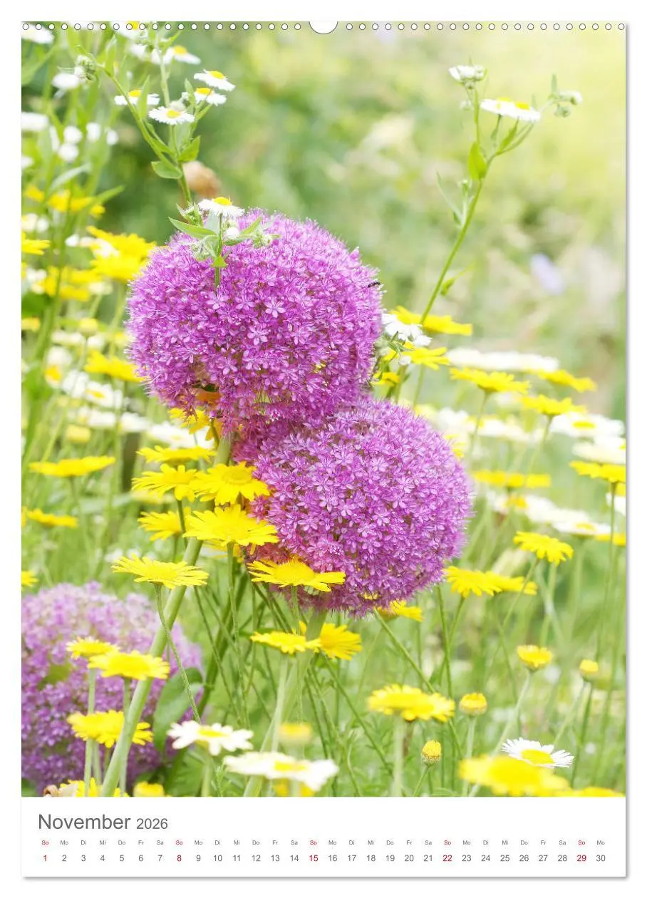 Bild: 9783516390919 | Bunter Sommer (hochwertiger Premium Wandkalender 2026 DIN A2 hoch),...