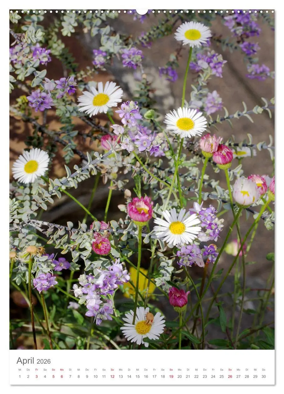 Bild: 9783516390919 | Bunter Sommer (hochwertiger Premium Wandkalender 2026 DIN A2 hoch),...