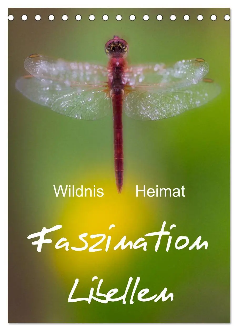 Cover: 9783516460919 | Faszination Libellen - Wildnis Heimat (Tischkalender 2026 DIN A5...