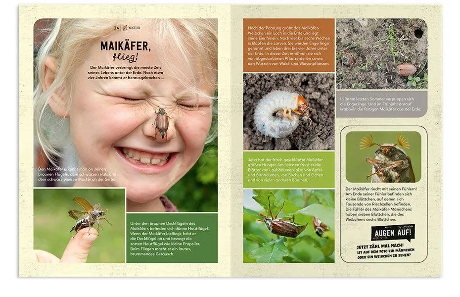 Bild: 9783946360919 | Mein Sach- und Mach-Frühlings-Buch | Hannah Kastenhuber | Buch | 48 S.