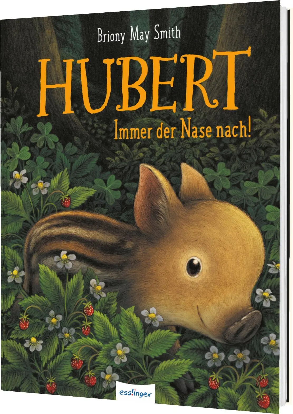 Cover: 9783480241019 | Hubert | Briony May Smith | Buch | 32 S. | Deutsch | 2025 | Esslinger