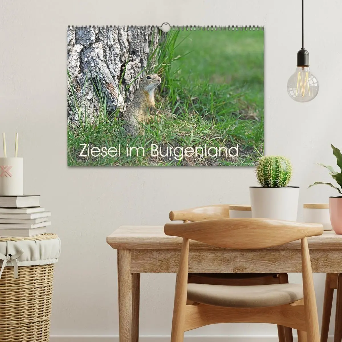 Bild: 9783516731019 | Ziesel im Burgenland (Wandkalender 2026 DIN A3 quer), CALVENDO...
