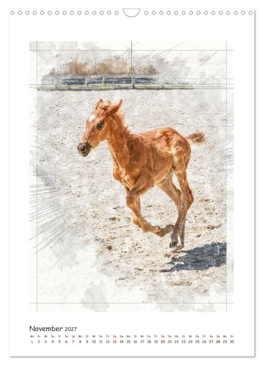 Bild: 9783516971019 | Lebensfreude pur: Fohlen (Wandkalender 2027 DIN A3 hoch), CALVENDO...