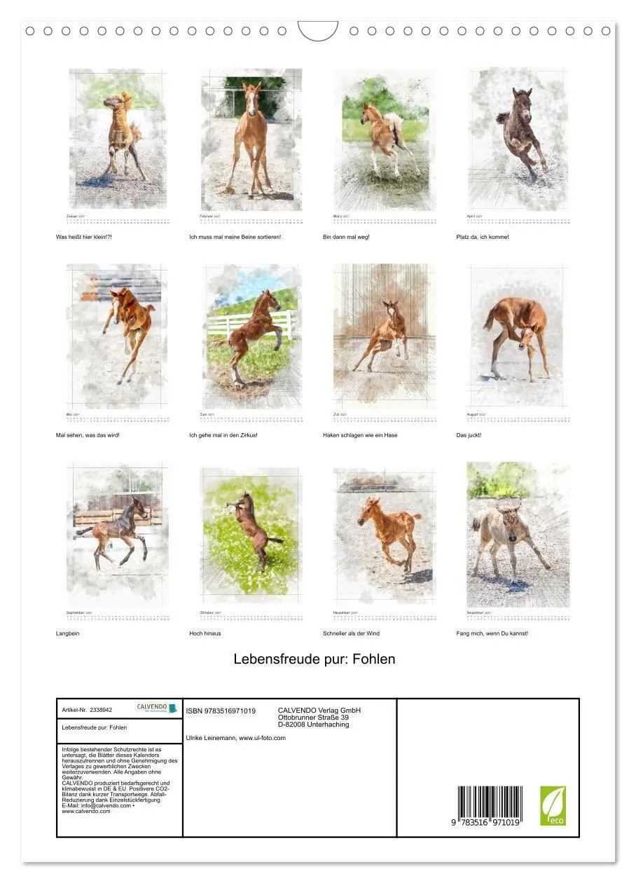 Bild: 9783516971019 | Lebensfreude pur: Fohlen (Wandkalender 2027 DIN A3 hoch), CALVENDO...
