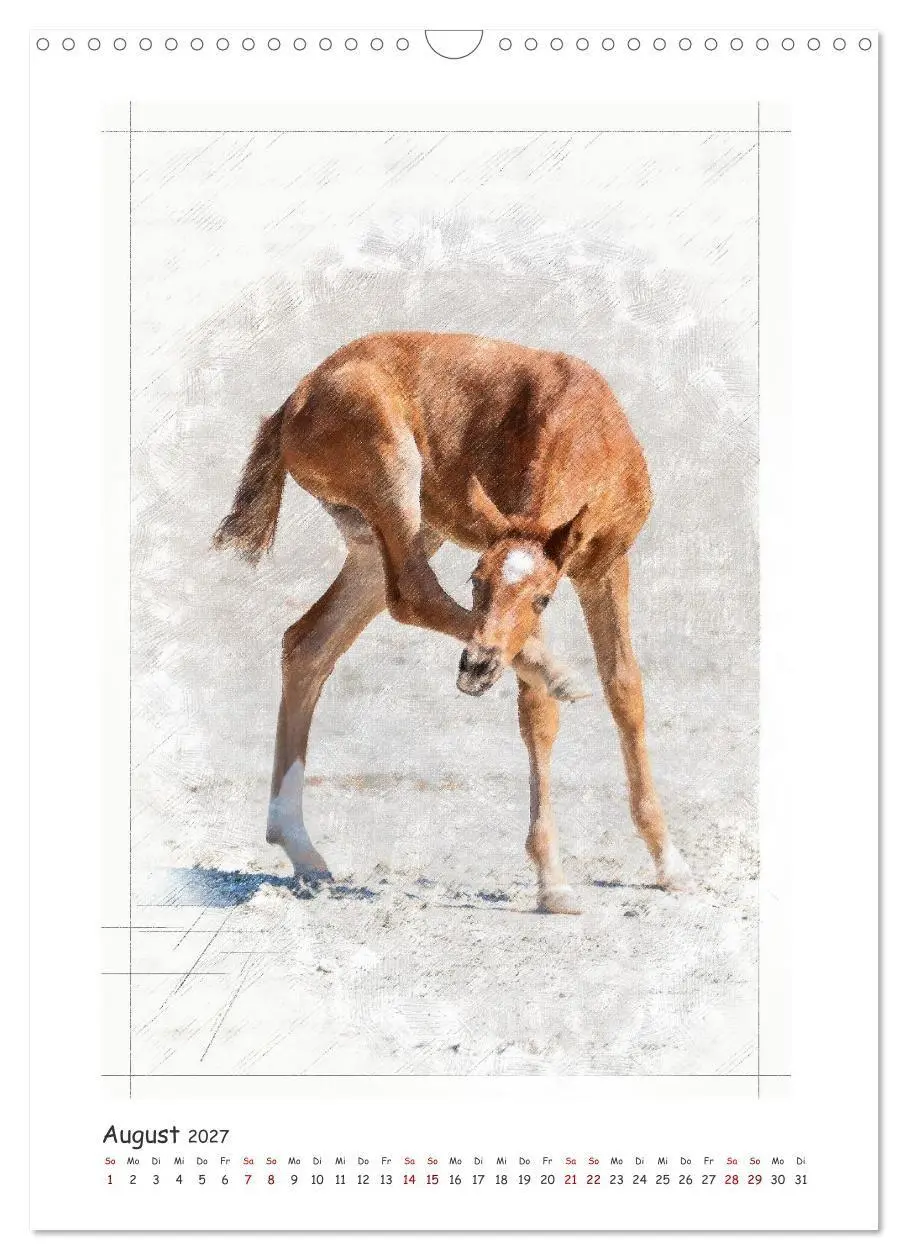 Bild: 9783516971019 | Lebensfreude pur: Fohlen (Wandkalender 2027 DIN A3 hoch), CALVENDO...