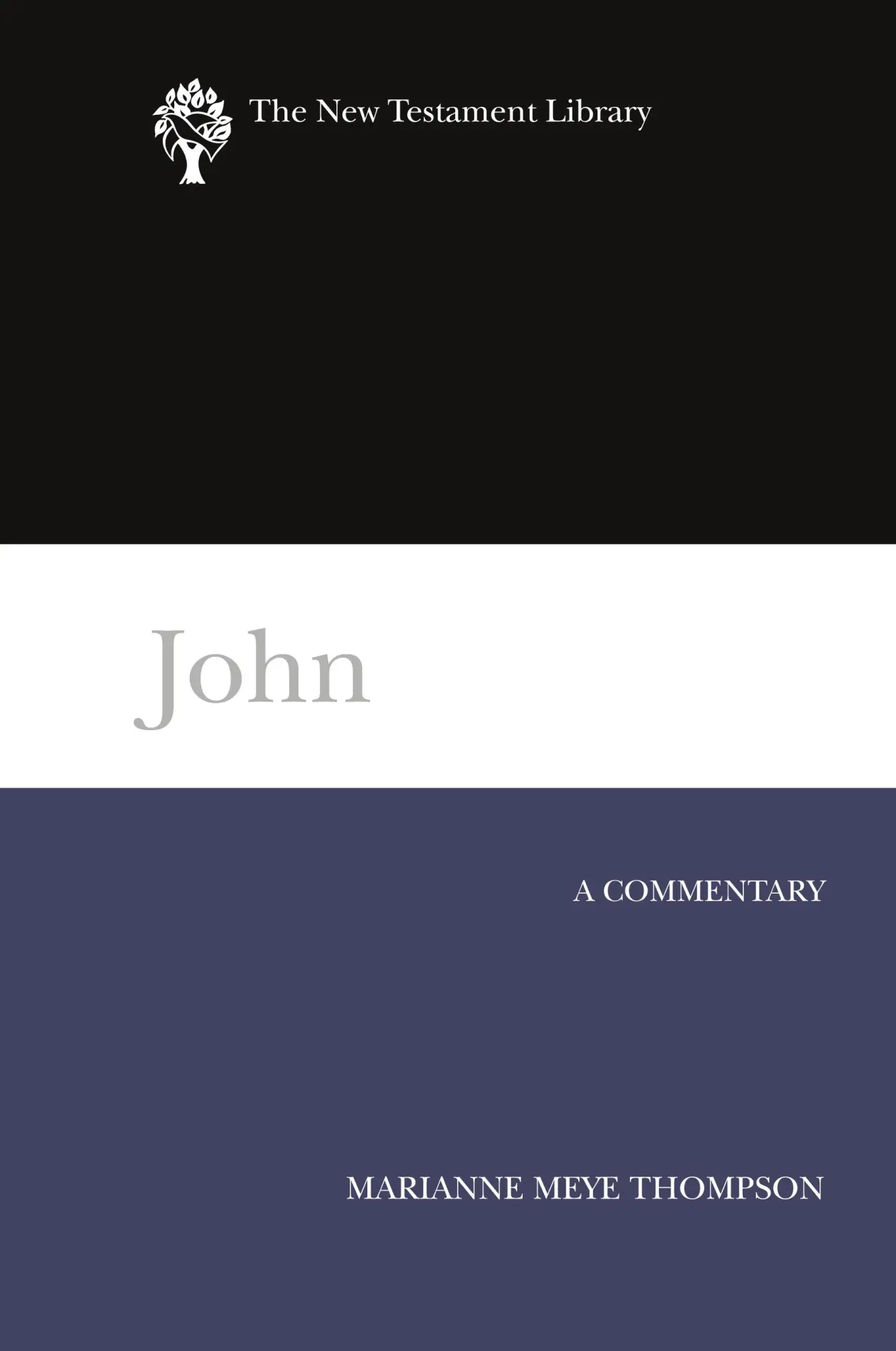 Cover: 9780664221119 | John (NTL) | Marianne Meye Thompson | Buch | Gebunden | Englisch