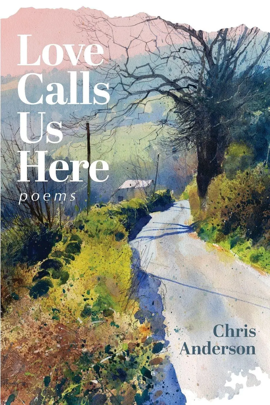 Cover: 9781961741119 | Love Calls Us Here | Chris Anderson | Taschenbuch | Englisch | 2024