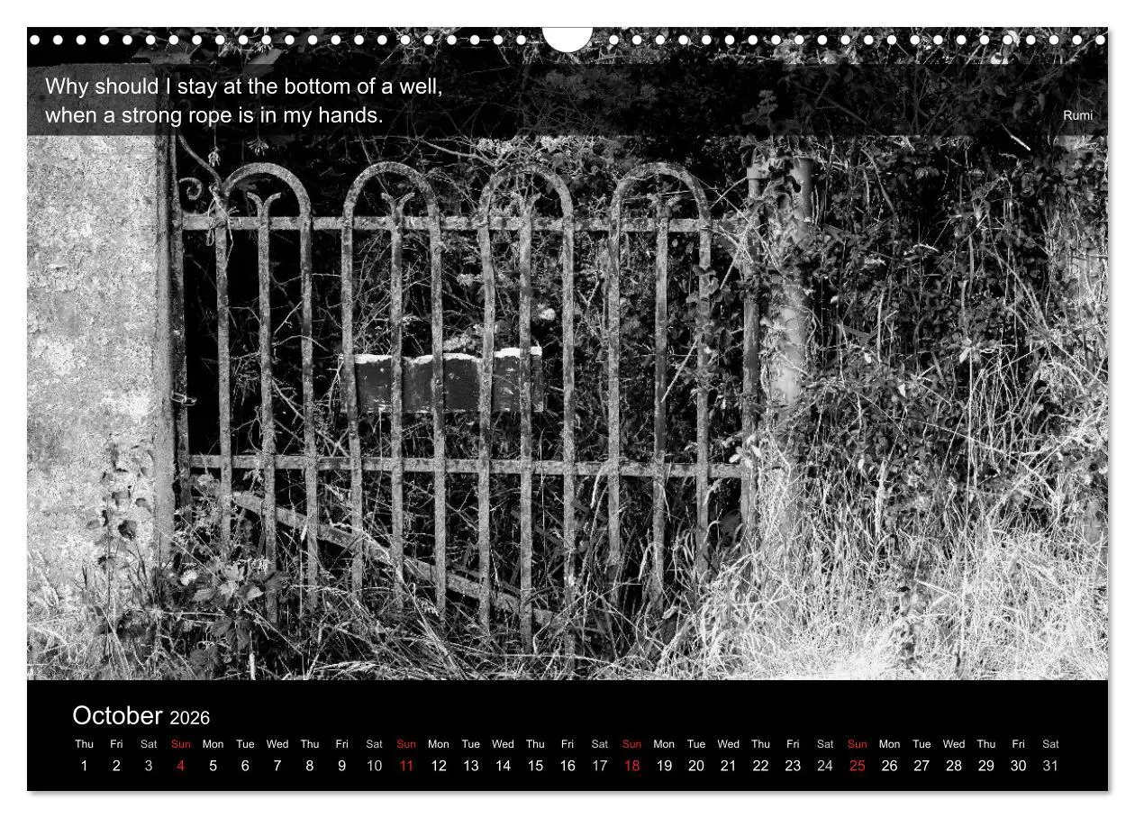 Bild: 9783516571219 | Through the Gate with Rumi (Wall Calendar 2026 DIN A3 landscape),...