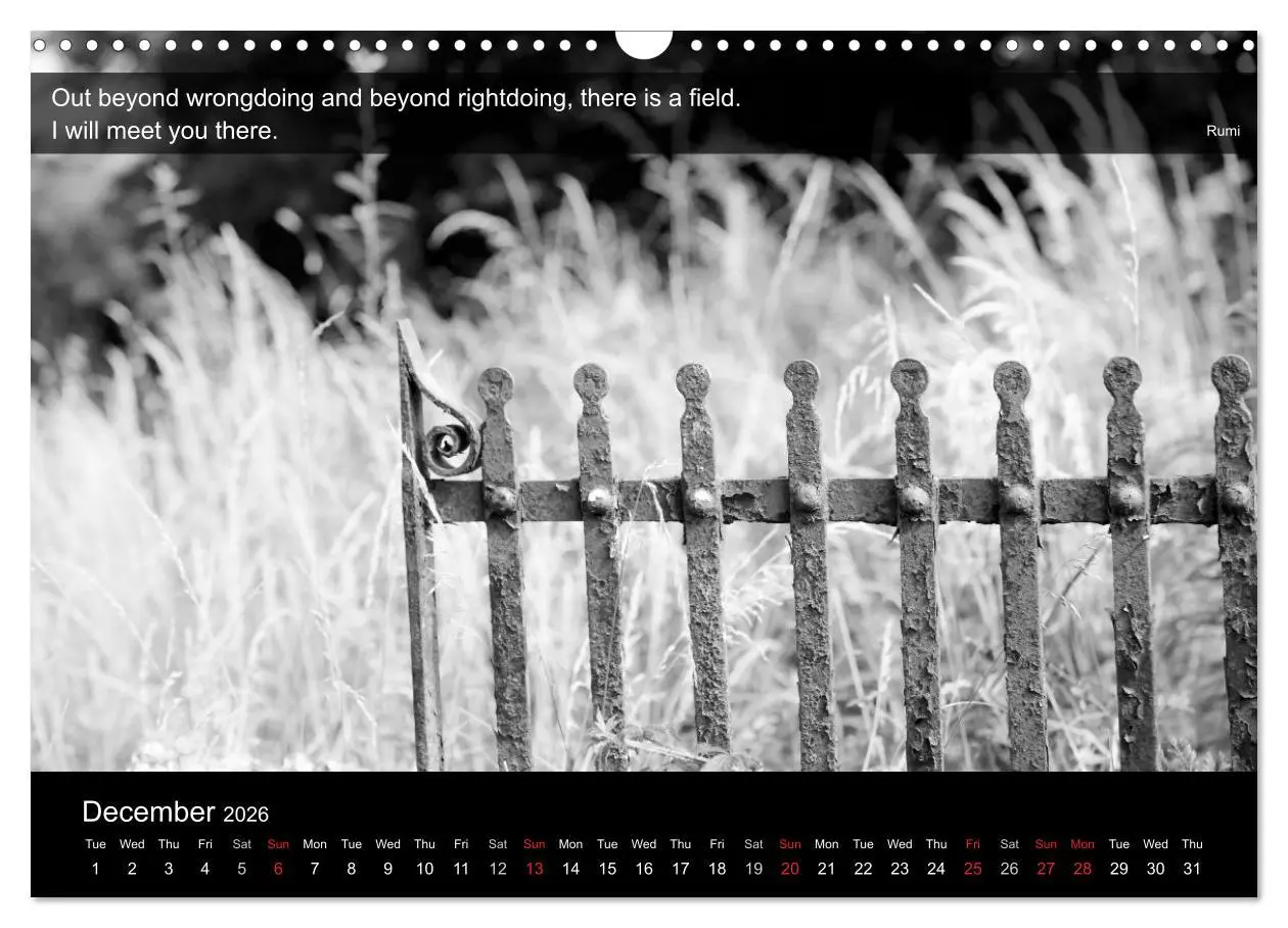 Bild: 9783516571219 | Through the Gate with Rumi (Wall Calendar 2026 DIN A3 landscape),...