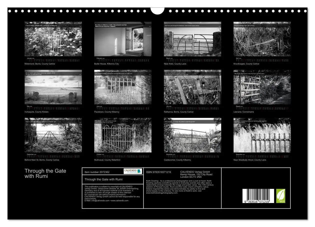 Bild: 9783516571219 | Through the Gate with Rumi (Wall Calendar 2026 DIN A3 landscape),...