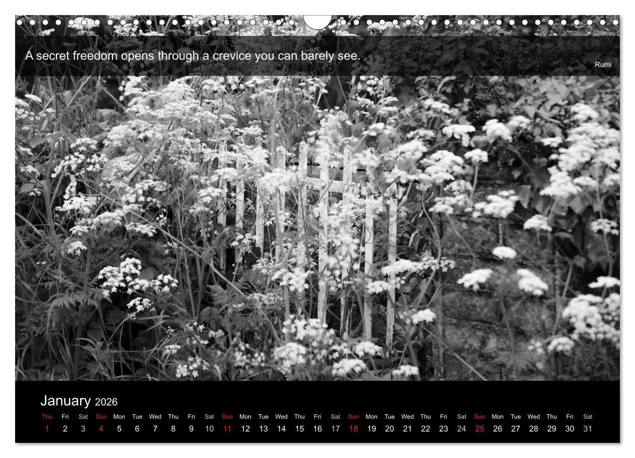 Bild: 9783516571219 | Through the Gate with Rumi (Wall Calendar 2026 DIN A3 landscape),...