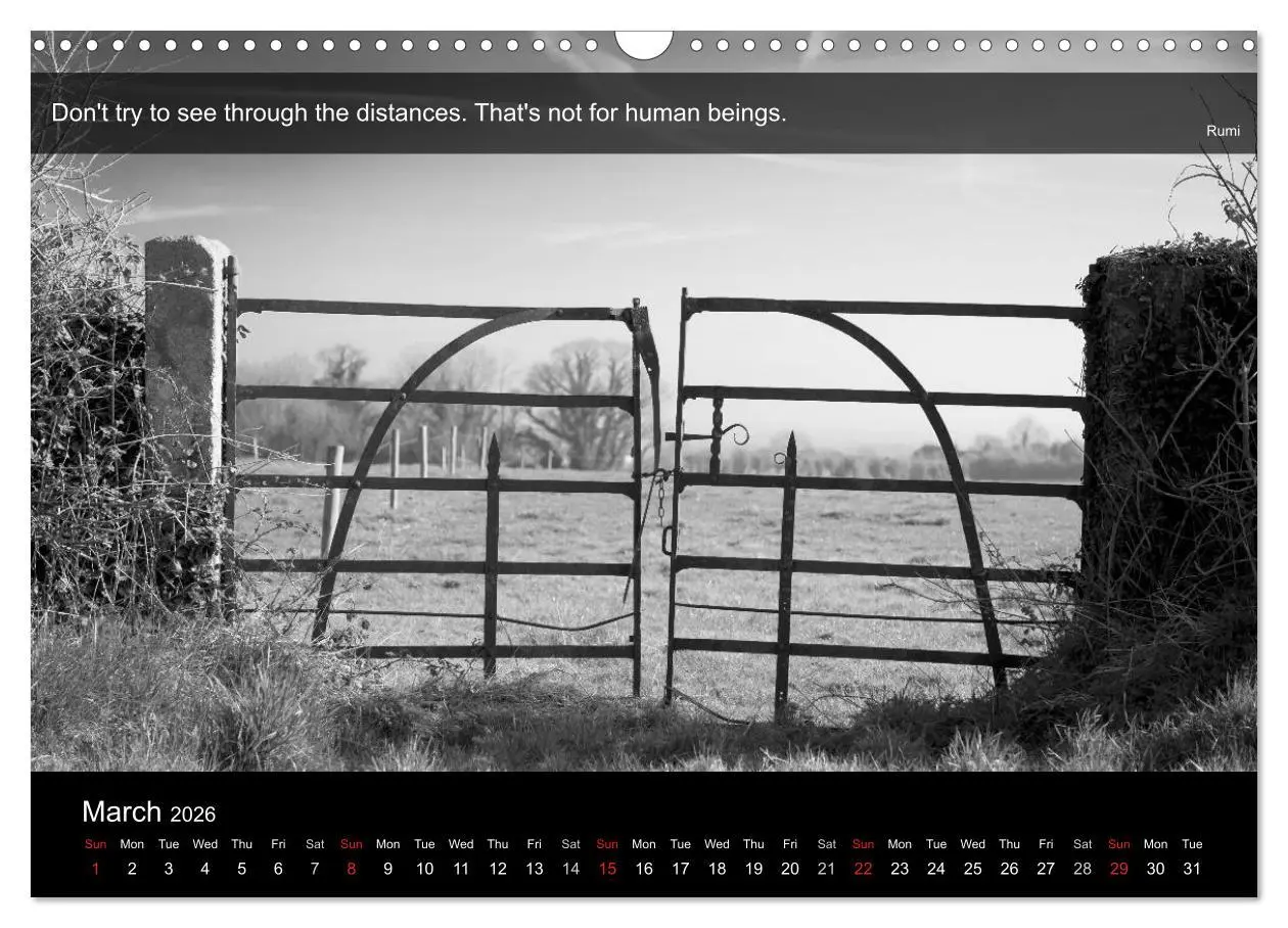 Bild: 9783516571219 | Through the Gate with Rumi (Wall Calendar 2026 DIN A3 landscape),...