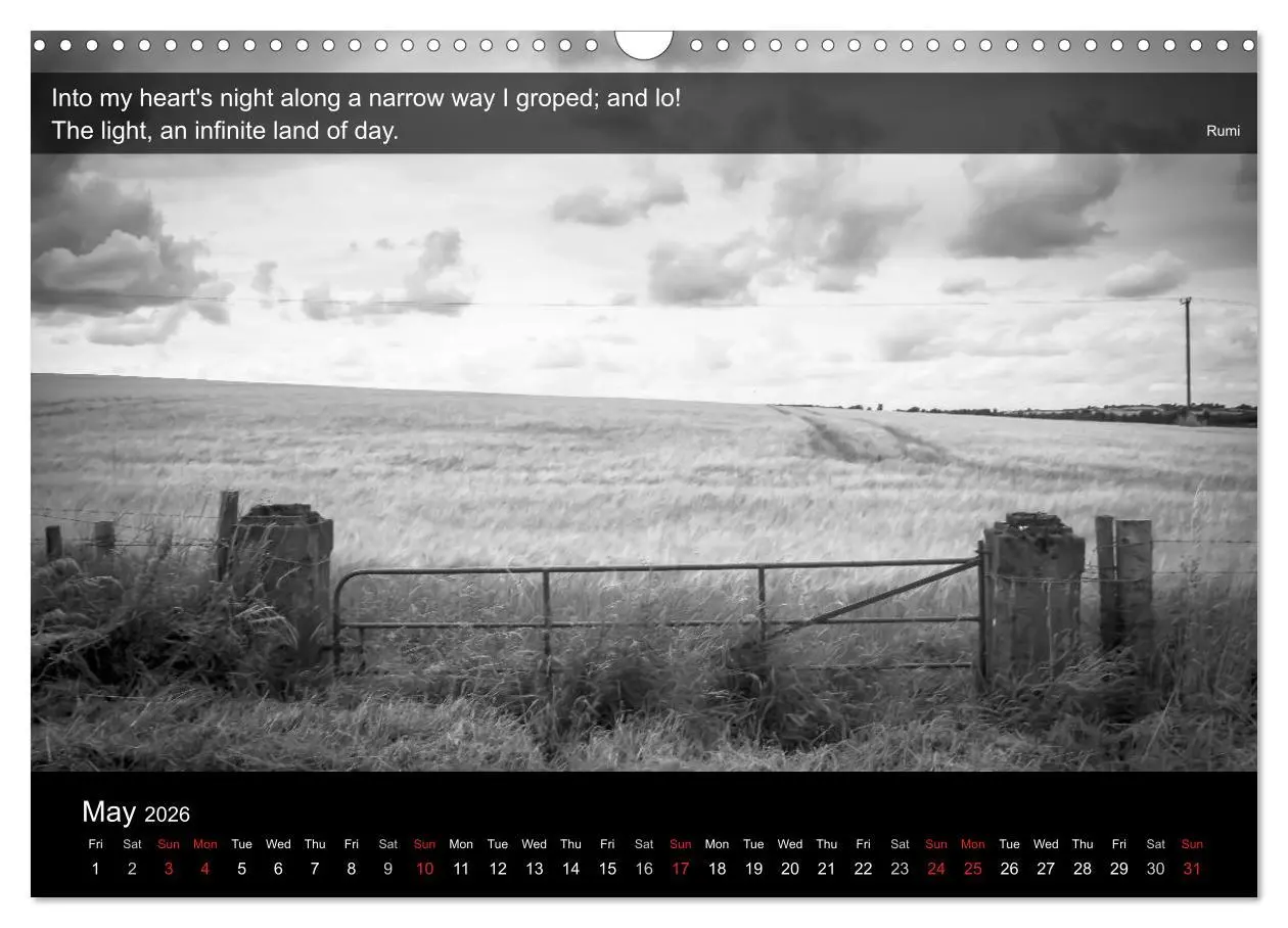 Bild: 9783516571219 | Through the Gate with Rumi (Wall Calendar 2026 DIN A3 landscape),...