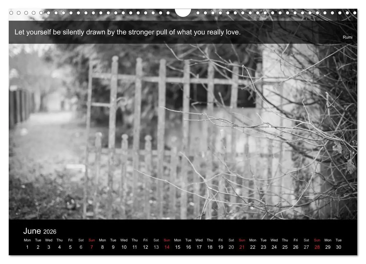 Bild: 9783516571219 | Through the Gate with Rumi (Wall Calendar 2026 DIN A3 landscape),...