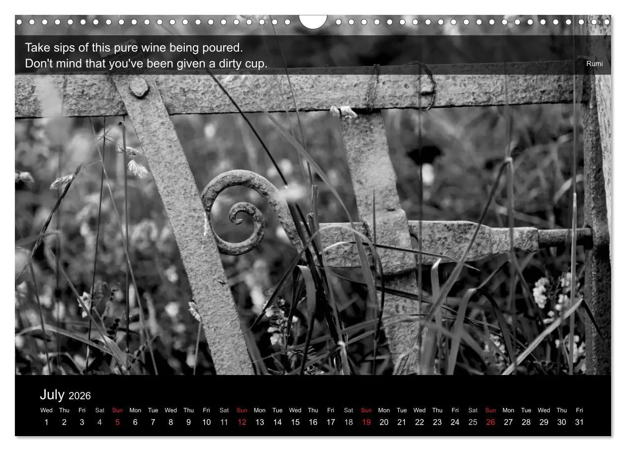 Bild: 9783516571219 | Through the Gate with Rumi (Wall Calendar 2026 DIN A3 landscape),...