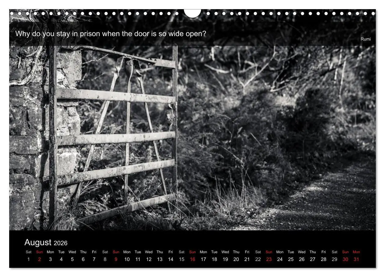 Bild: 9783516571219 | Through the Gate with Rumi (Wall Calendar 2026 DIN A3 landscape),...