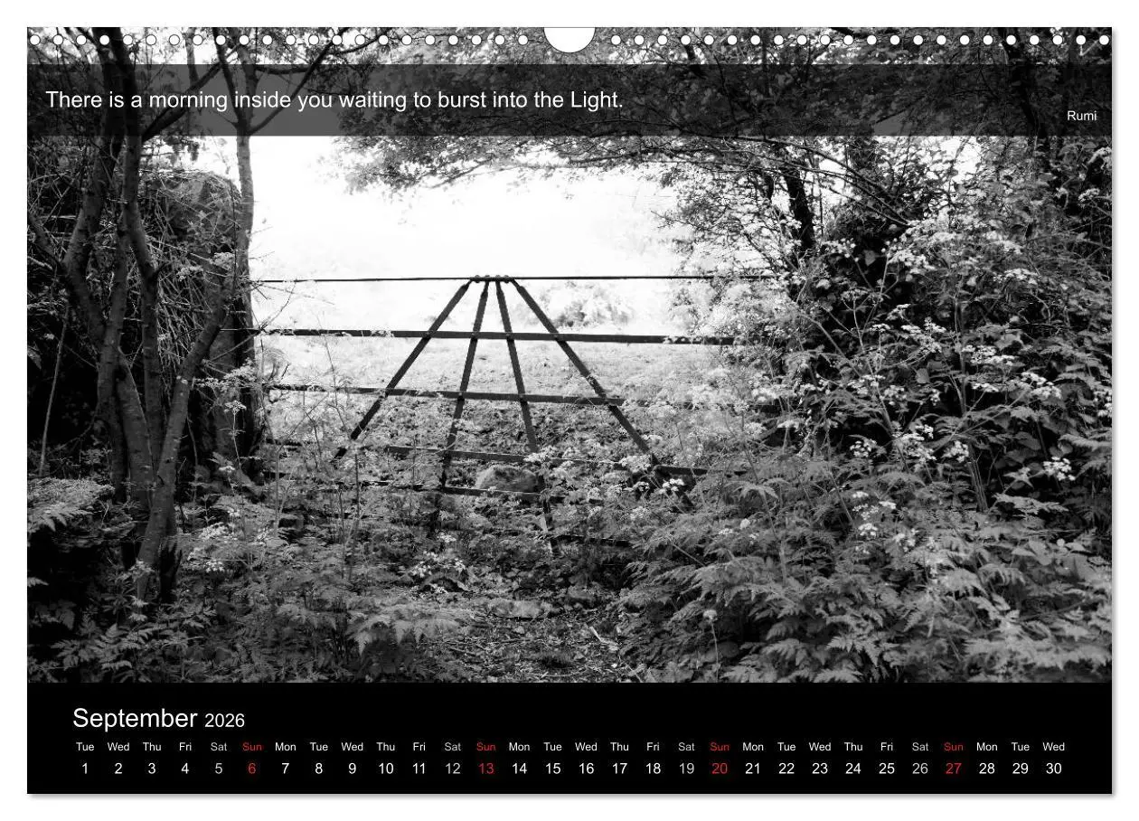 Bild: 9783516571219 | Through the Gate with Rumi (Wall Calendar 2026 DIN A3 landscape),...