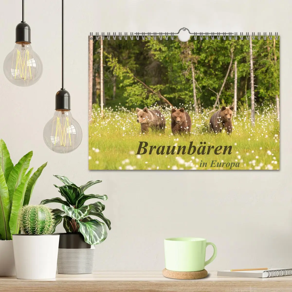 Bild: 9783457781319 | Braunbären in Europa (Wandkalender 2026 DIN A4 quer), CALVENDO...