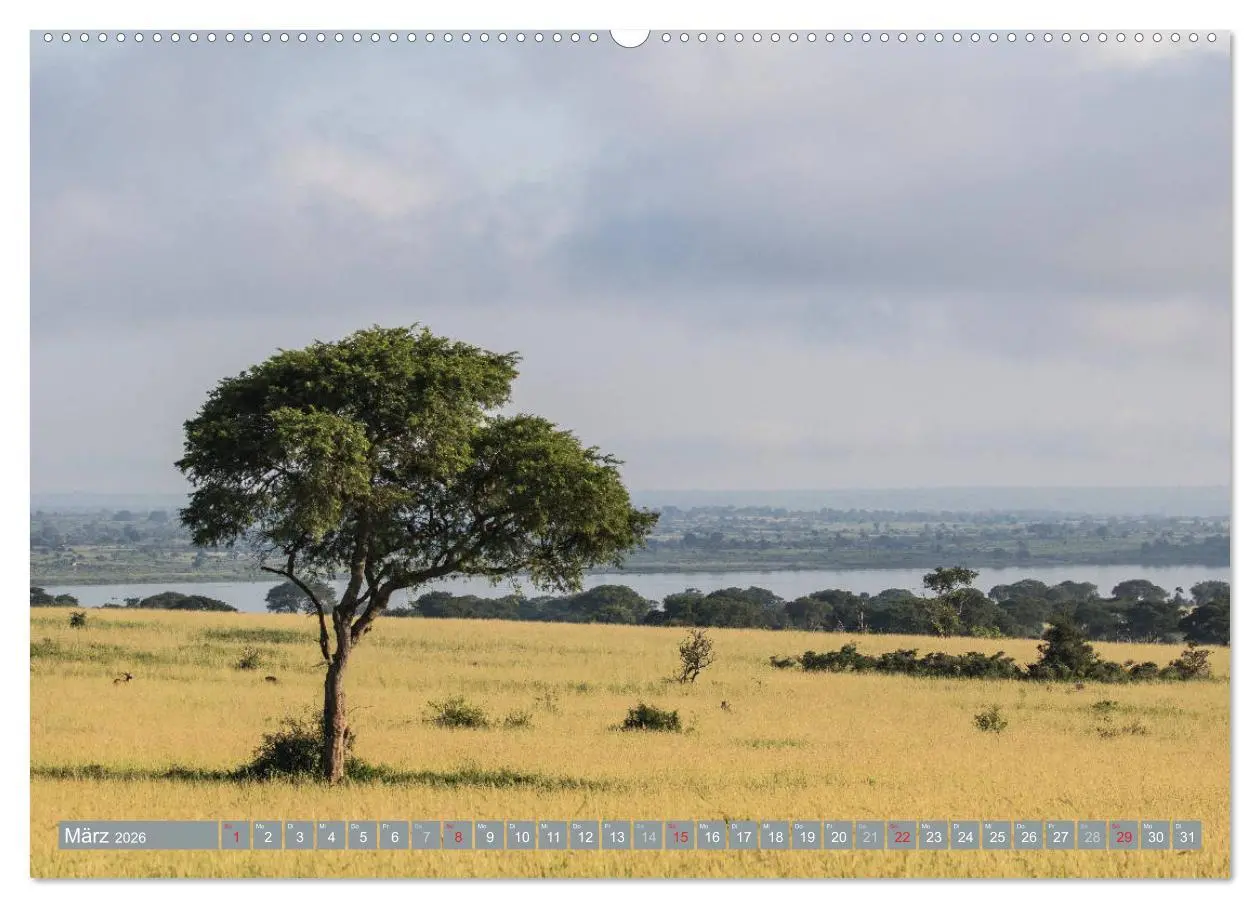 Bild: 9783457851319 | Geheimtipp Uganda (Wandkalender 2026 DIN A2 quer), CALVENDO...