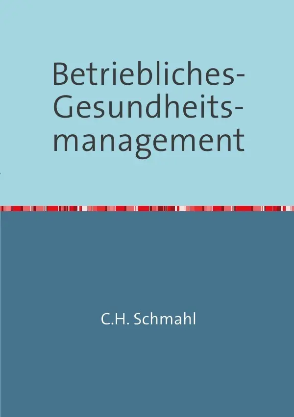 Cover: 9783844241419 | Betriebliches Gesundheitsmanagement | Christian Schmahl | Taschenbuch