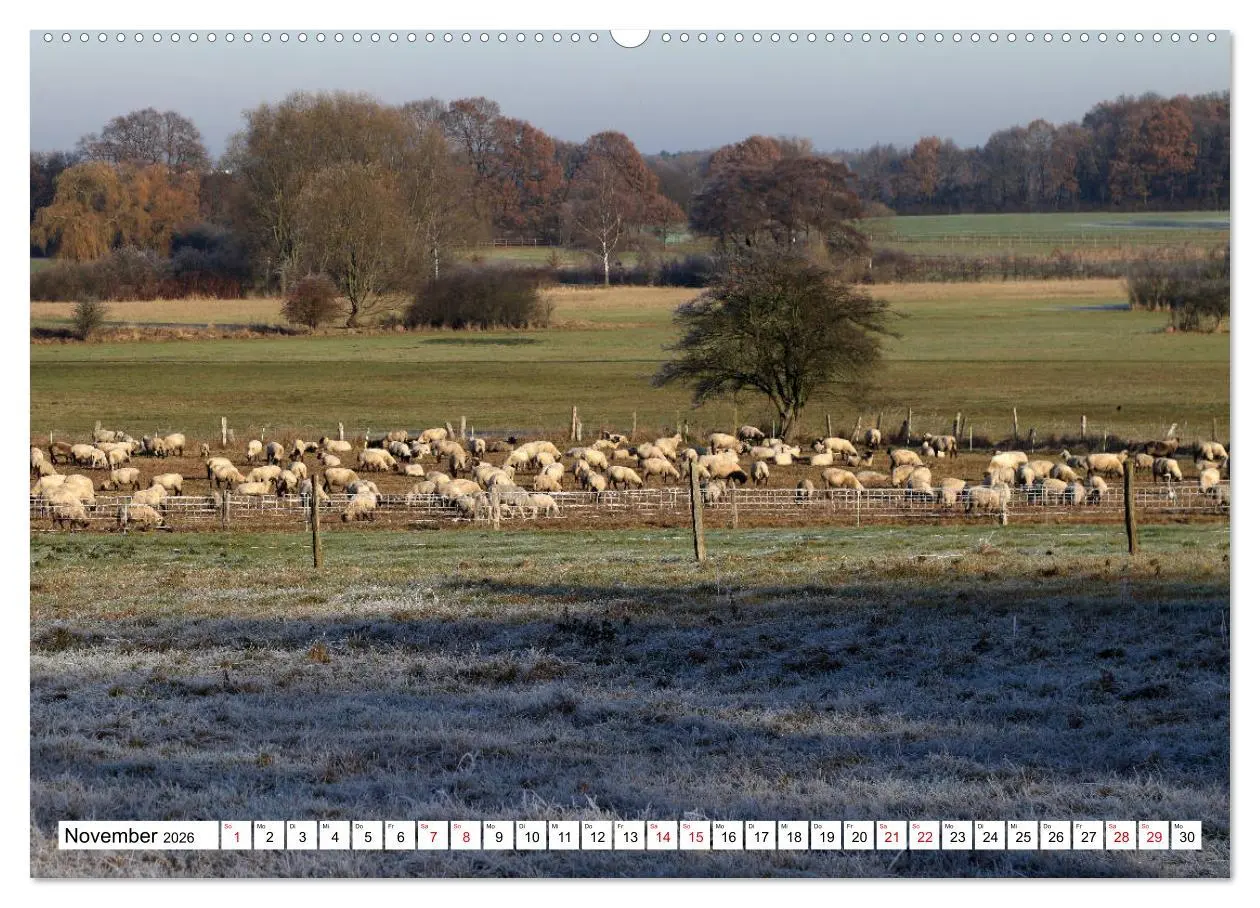Bild: 9783457761519 | Impressionen aus Isernhagen (hochwertiger Premium Wandkalender 2026...