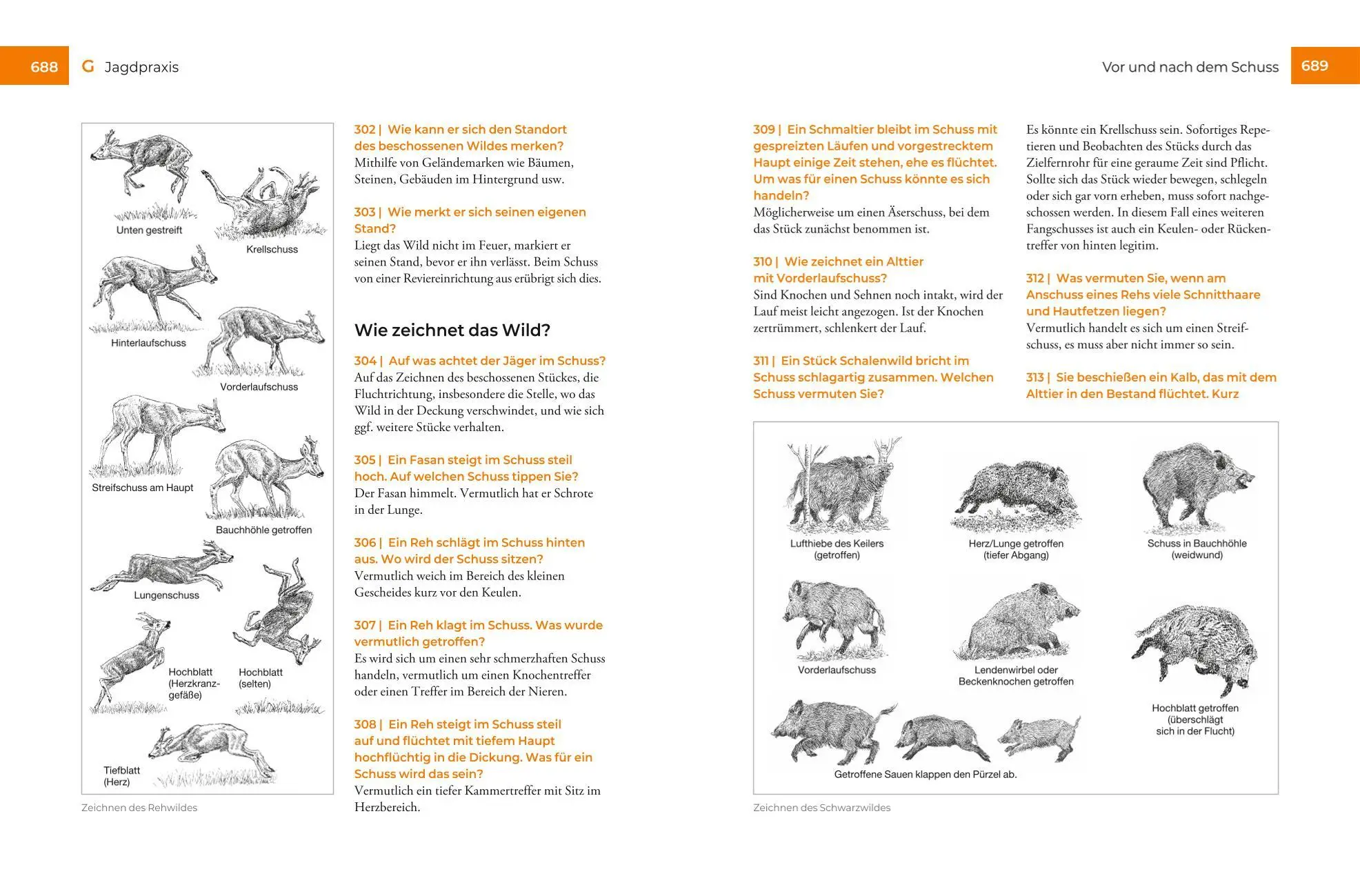 Bild: 9783967471519 | Vor und nach der Jägerprüfung - Printausgabe | Herbert Krebs | Buch