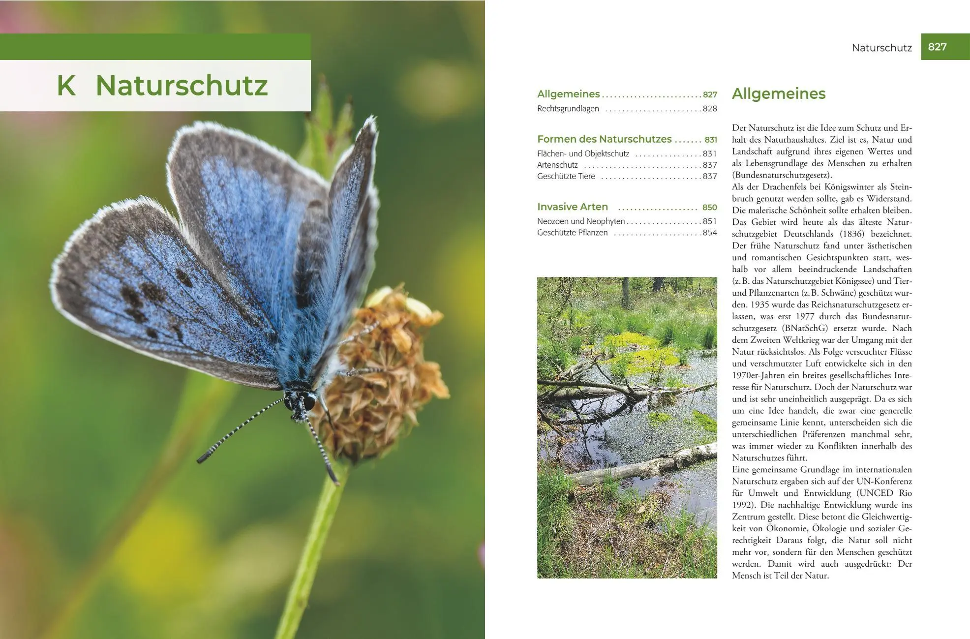Bild: 9783967471519 | Vor und nach der Jägerprüfung - Printausgabe | Herbert Krebs | Buch