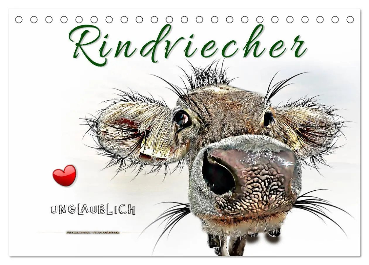 Cover: 9783457751619 | Rindviecher unglaublich (Tischkalender 2026 DIN A5 quer), CALVENDO...