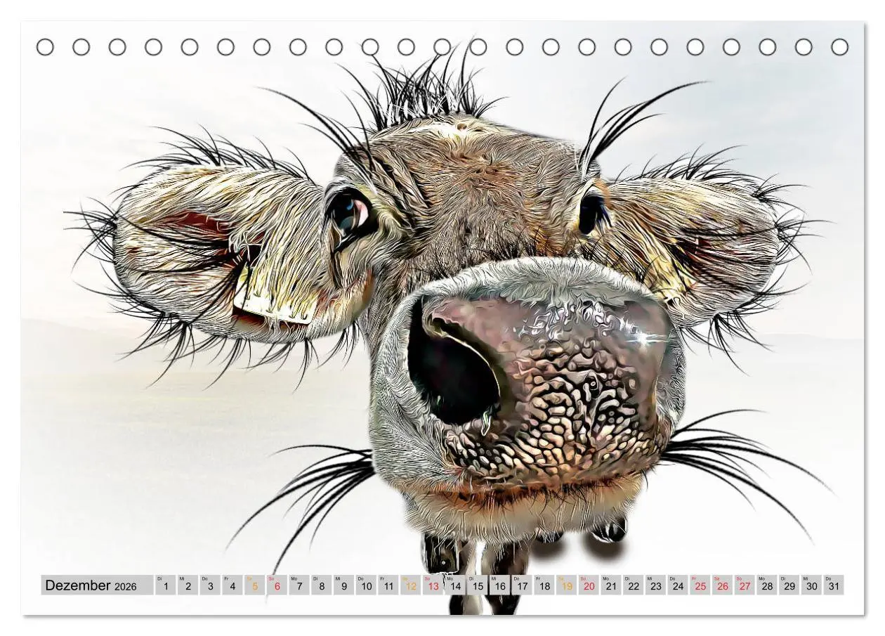 Bild: 9783457751619 | Rindviecher unglaublich (Tischkalender 2026 DIN A5 quer), CALVENDO...