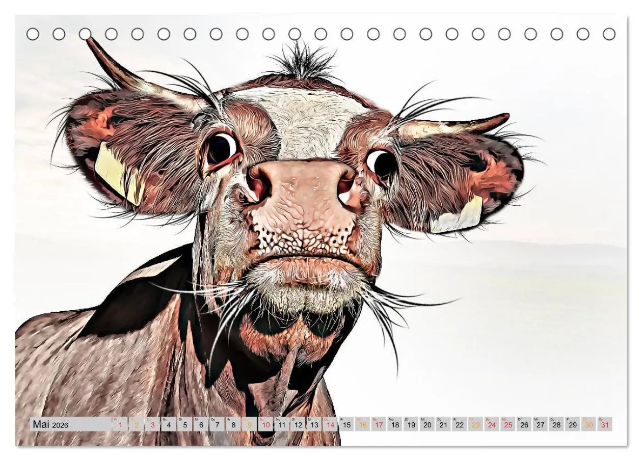 Bild: 9783457751619 | Rindviecher unglaublich (Tischkalender 2026 DIN A5 quer), CALVENDO...