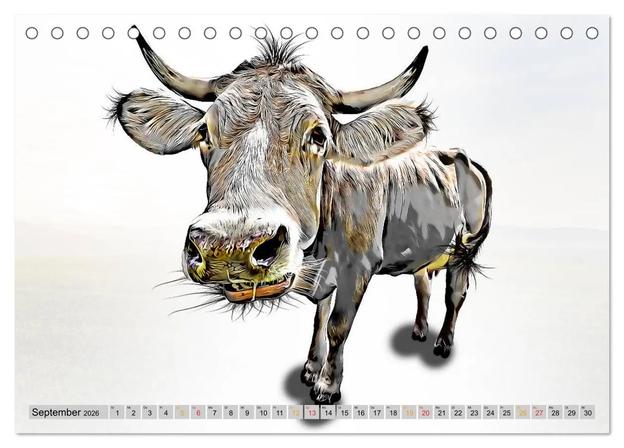 Bild: 9783457751619 | Rindviecher unglaublich (Tischkalender 2026 DIN A5 quer), CALVENDO...