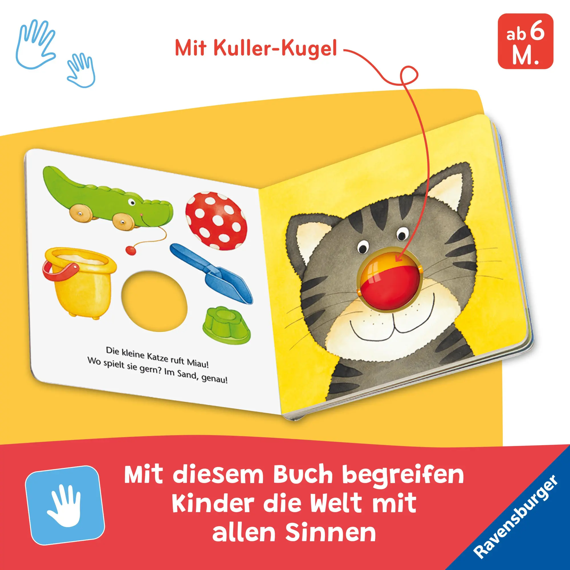 Bild: 9783473421619 | Alle meine Kullertiere | Sandra Grimm | Buch | 12 S. | Deutsch | 2025