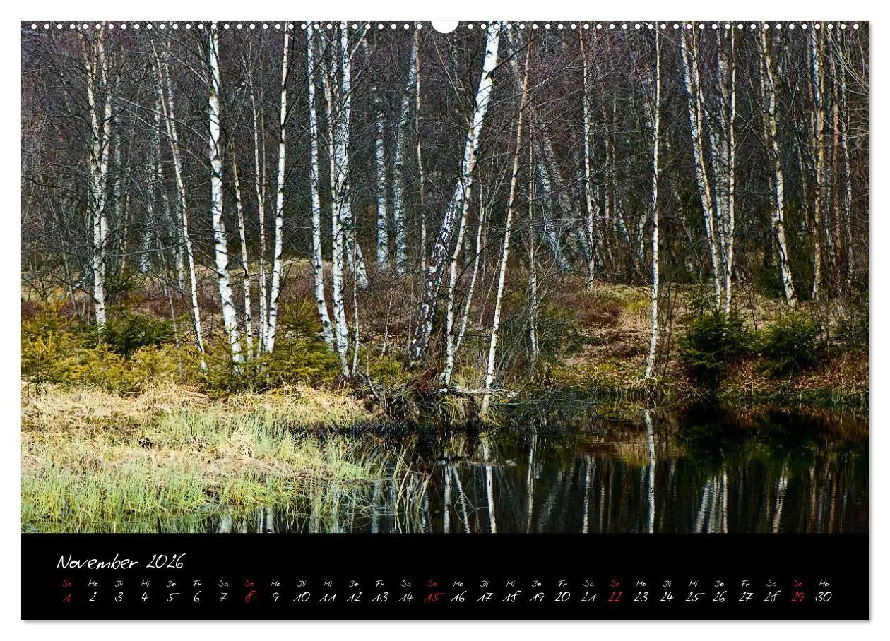 Bild: 9783516151619 | RHÖN = SCHÖN (hochwertiger Premium Wandkalender 2026 DIN A2 quer),...