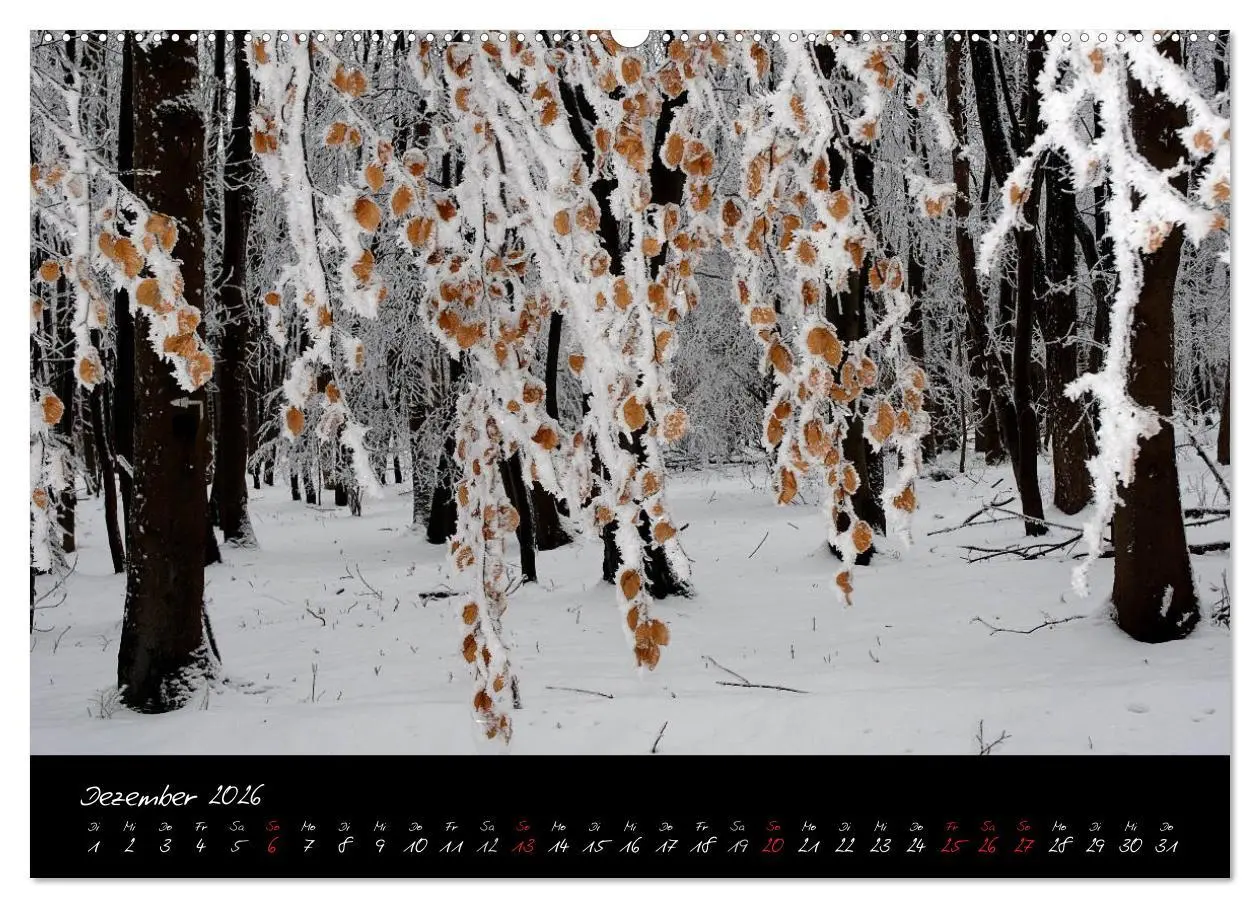 Bild: 9783516151619 | RHÖN = SCHÖN (hochwertiger Premium Wandkalender 2026 DIN A2 quer),...