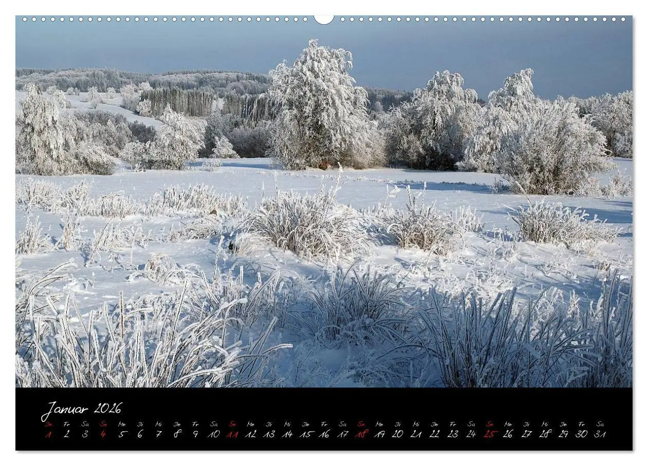 Bild: 9783516151619 | RHÖN = SCHÖN (hochwertiger Premium Wandkalender 2026 DIN A2 quer),...