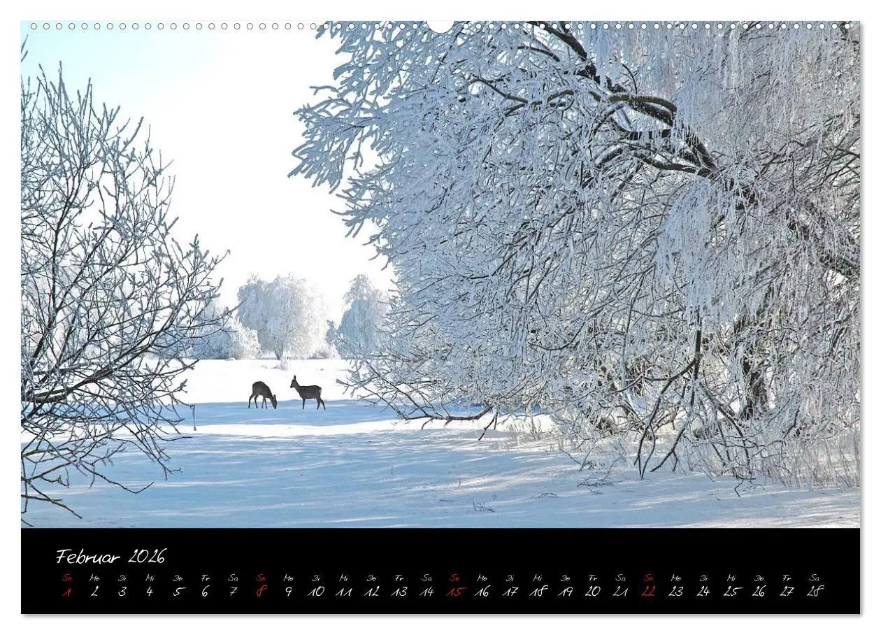 Bild: 9783516151619 | RHÖN = SCHÖN (hochwertiger Premium Wandkalender 2026 DIN A2 quer),...
