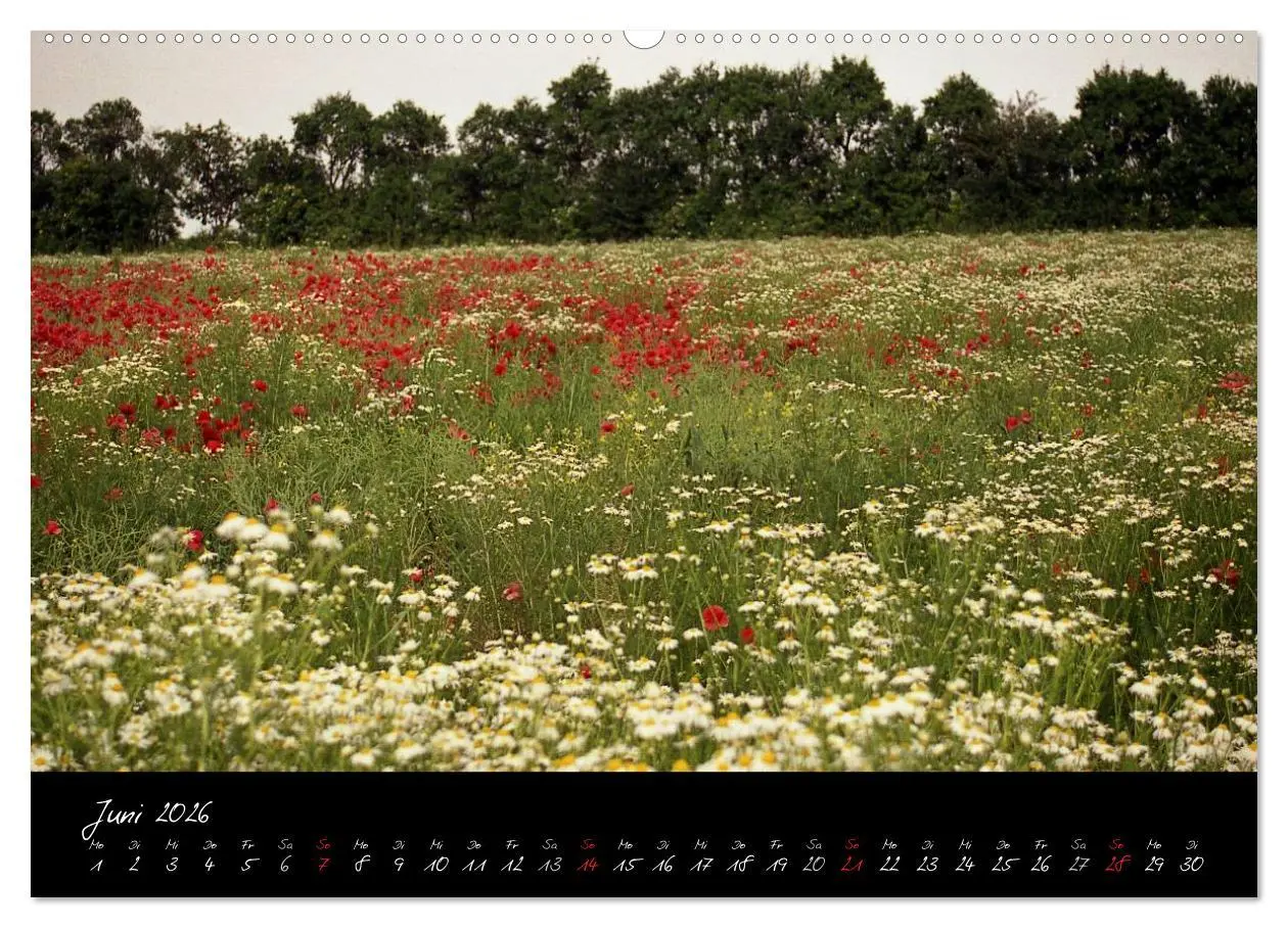 Bild: 9783516151619 | RHÖN = SCHÖN (hochwertiger Premium Wandkalender 2026 DIN A2 quer),...