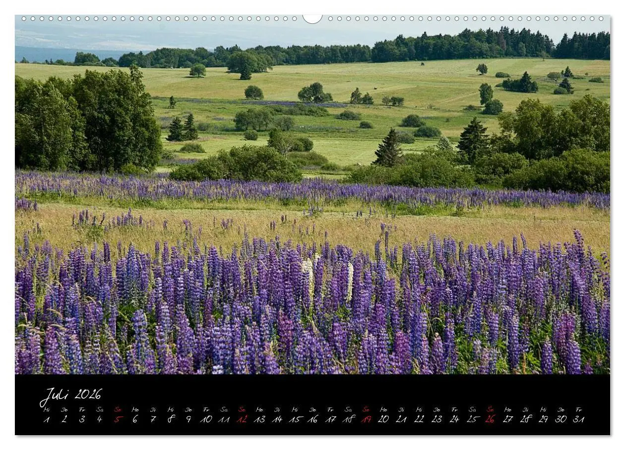 Bild: 9783516151619 | RHÖN = SCHÖN (hochwertiger Premium Wandkalender 2026 DIN A2 quer),...