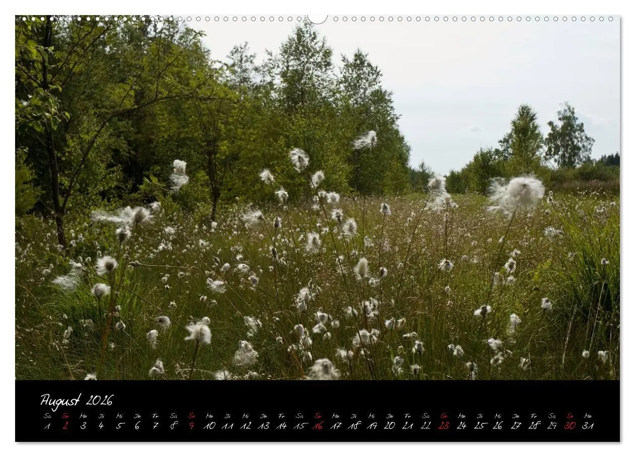Bild: 9783516151619 | RHÖN = SCHÖN (hochwertiger Premium Wandkalender 2026 DIN A2 quer),...
