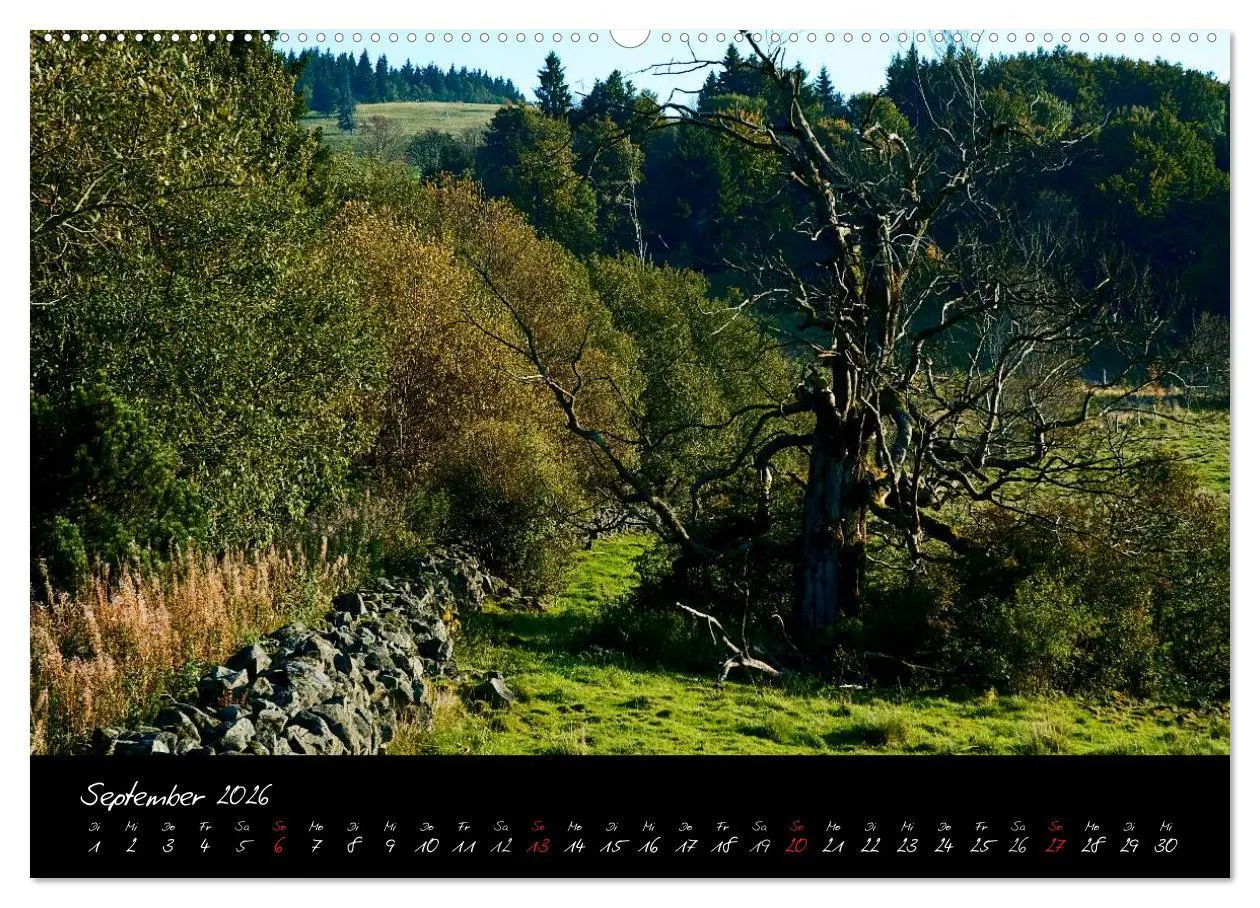 Bild: 9783516151619 | RHÖN = SCHÖN (hochwertiger Premium Wandkalender 2026 DIN A2 quer),...