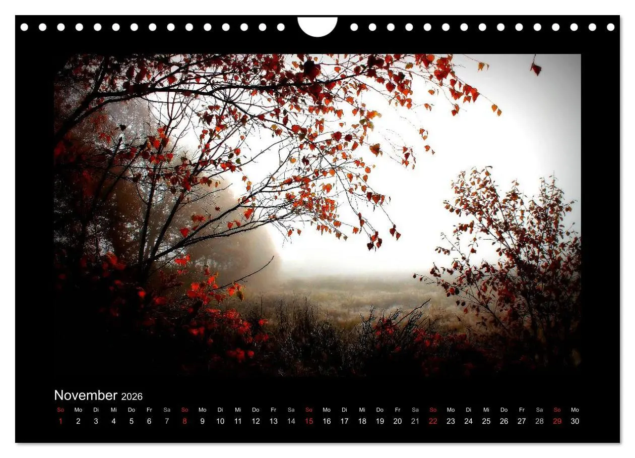Bild: 9783516221619 | Landschaft Teufelsmoor / 2026 (Wandkalender 2026 DIN A4 quer),...