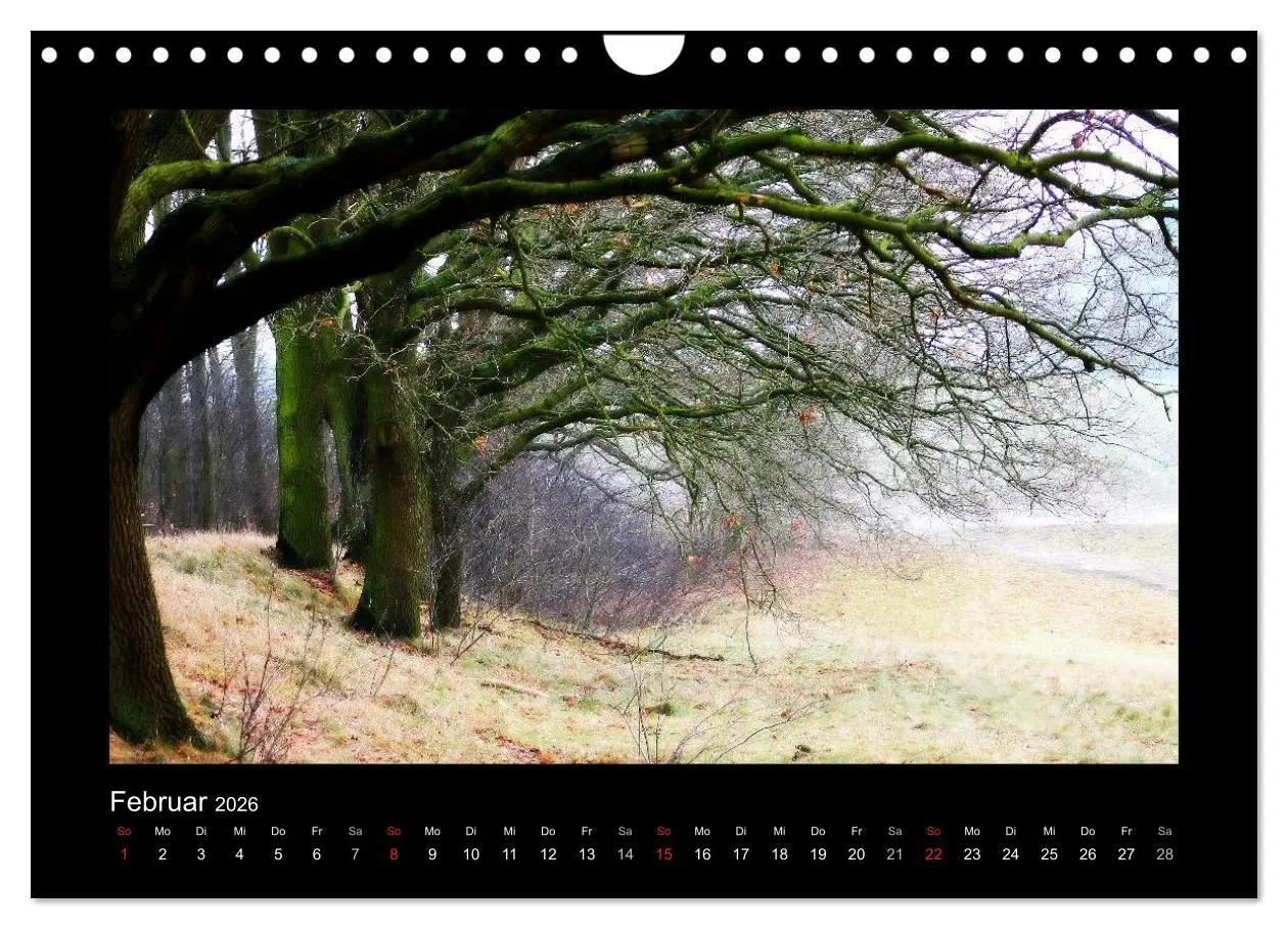 Bild: 9783516221619 | Landschaft Teufelsmoor / 2026 (Wandkalender 2026 DIN A4 quer),...