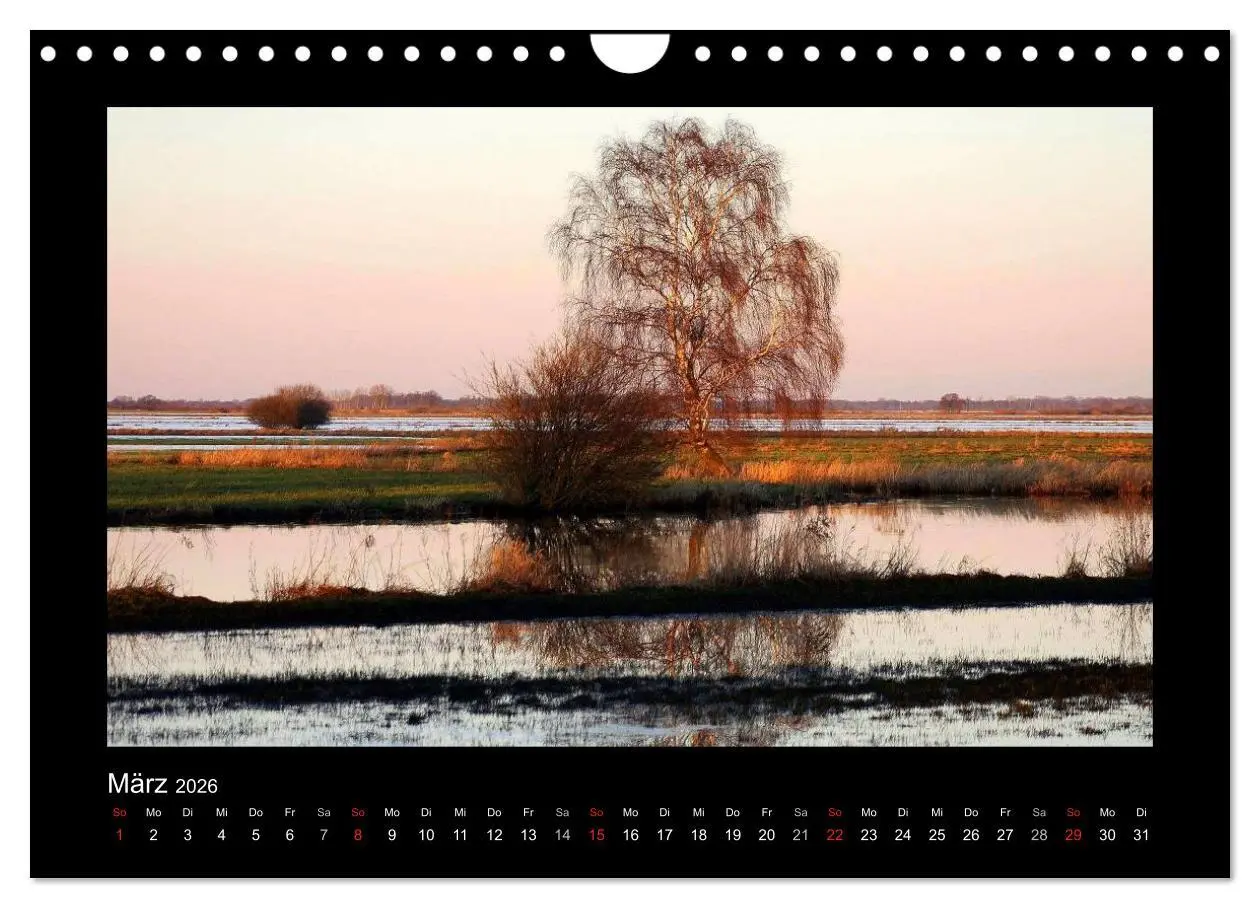 Bild: 9783516221619 | Landschaft Teufelsmoor / 2026 (Wandkalender 2026 DIN A4 quer),...