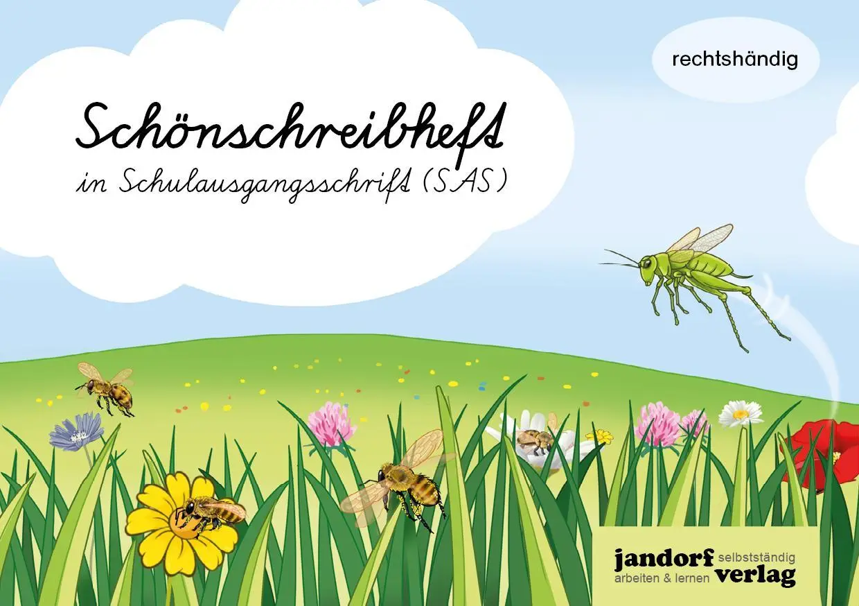 Cover: 9783960811619 | Schönschreibheft in SAS- rechtshändig - Schulausgangsschrift | 48 S.