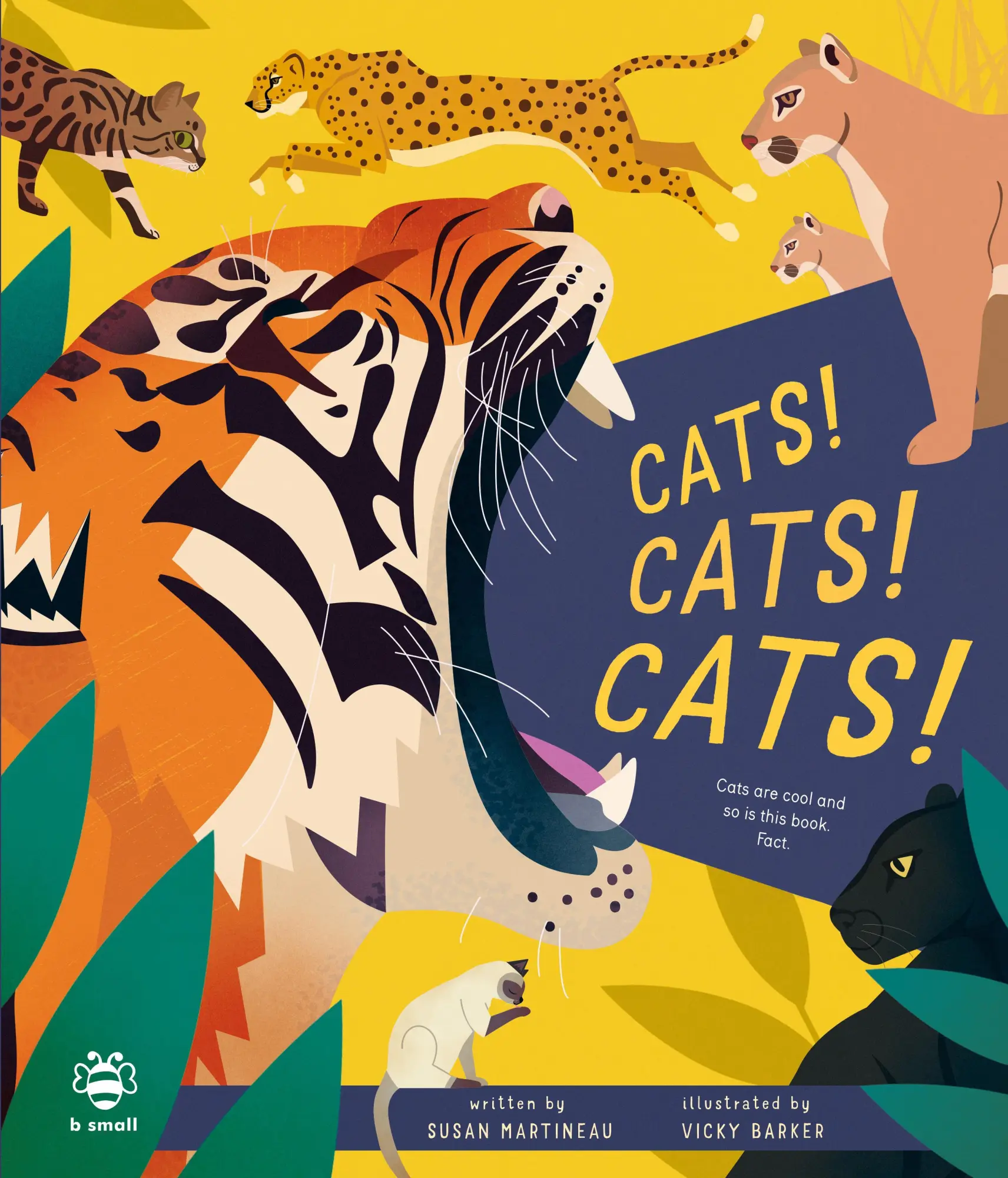 Cats! Cats! Cats!